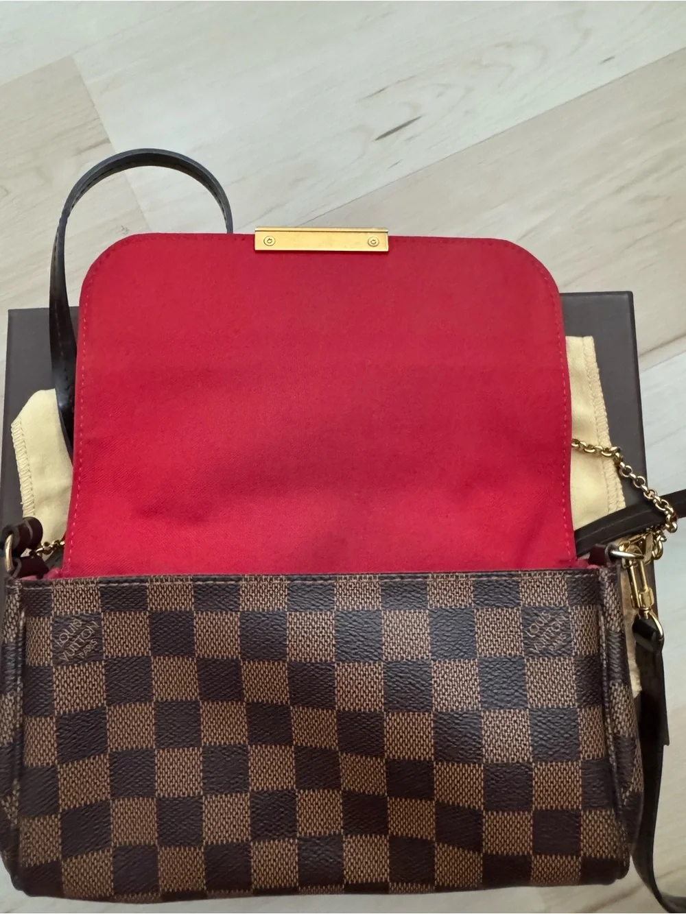 Louis Vuitton Favorite MM in Damier Ebene